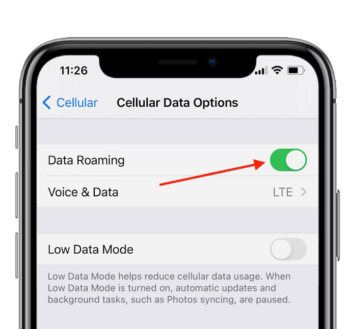 check-data-roaming