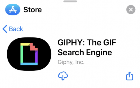 use-giphy