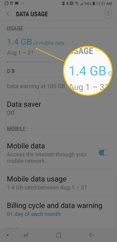 Check-Your-Mobile-Data