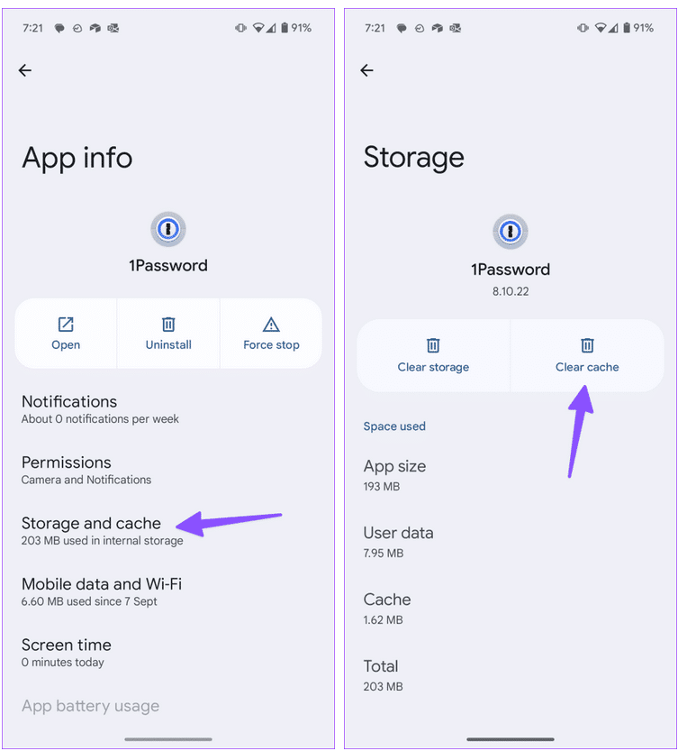 clear-cache-of-password-manager